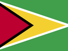 bandera-guyana